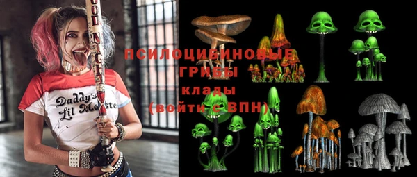 шишки Балабаново