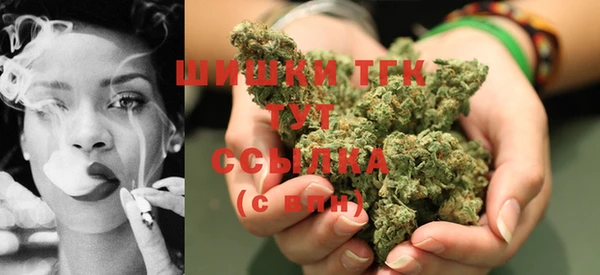 шишки Балабаново